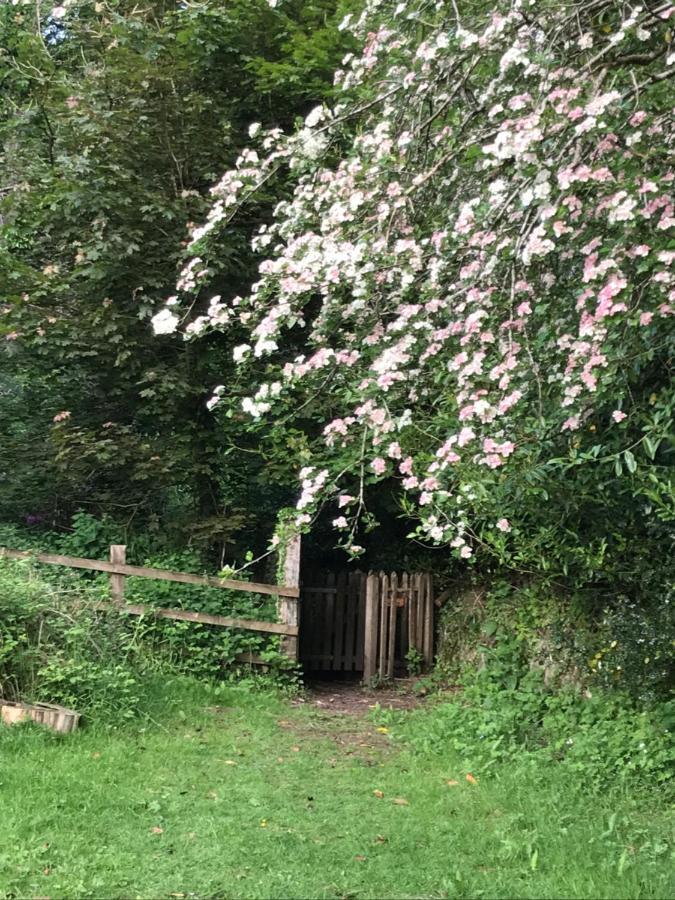 Oak Lodge Tavistock  Esterno foto